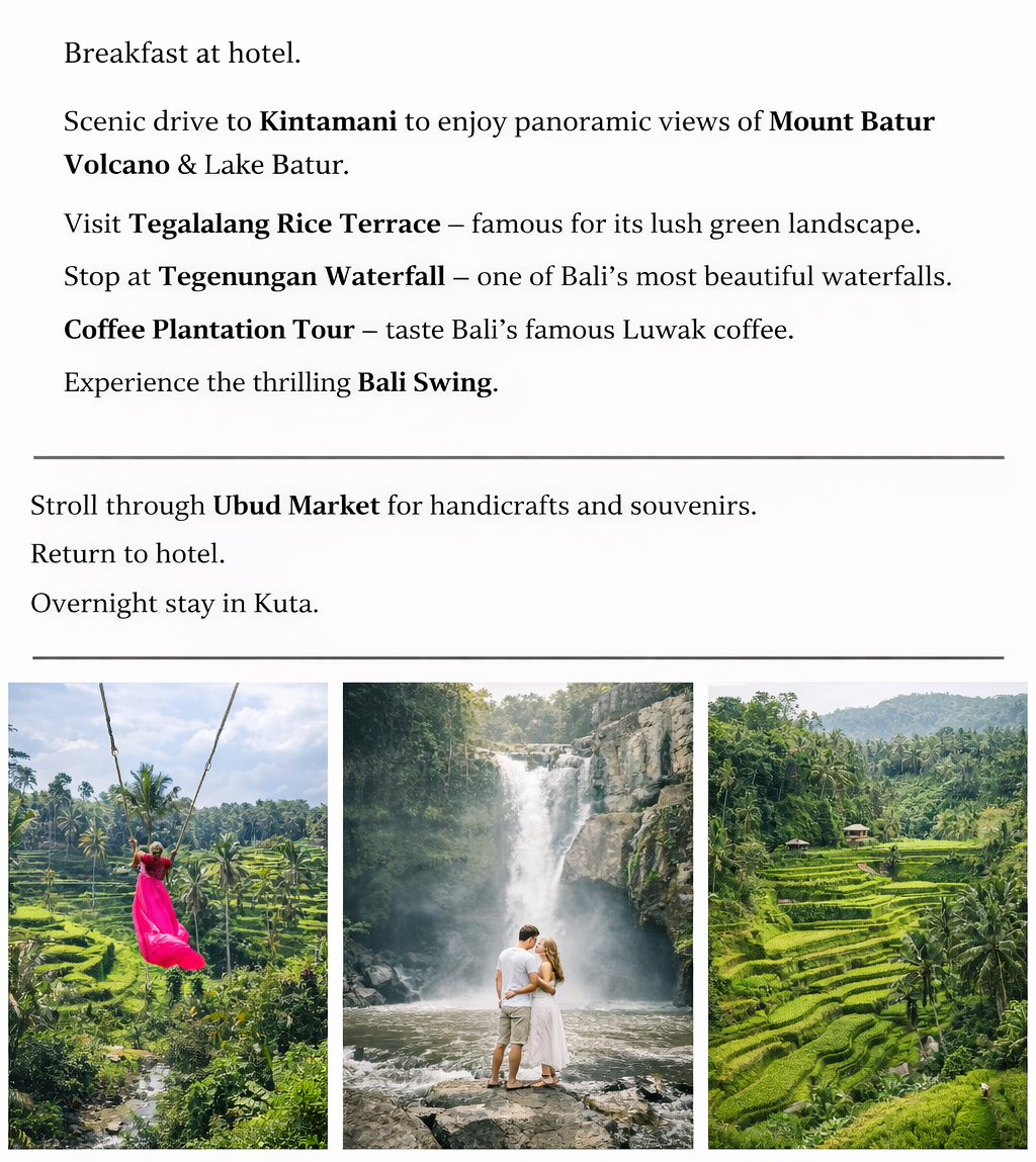 04: Kintamani Volcano View + Ubud Tour + Rice terrace + Waterfall + Bali Swing