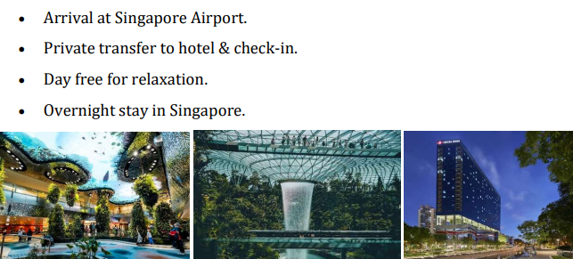 Arrival in Singapore – Check-in